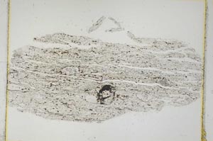 Plane Polarized, S3673