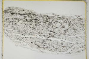Plane Polarized, S3676
