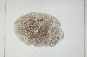 Plane Polarized, S3707