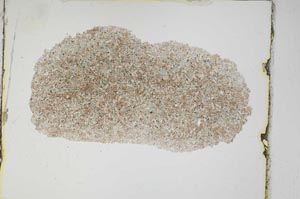 Plane Polarized, S3743