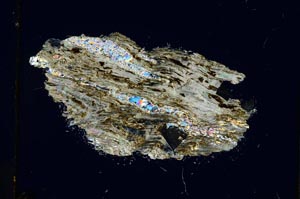 Cross Polarized, S3755