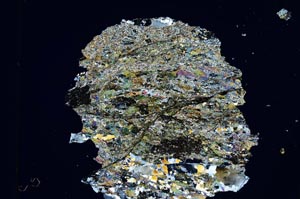 Cross Polarized, S3757