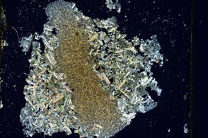 Cross Polarized, S3758