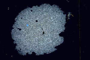 Cross Polarized, S3759