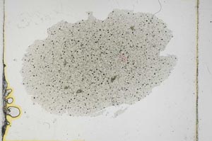 Plane Polarized, S3760