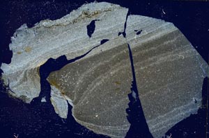 Cross Polarized, S3760/A