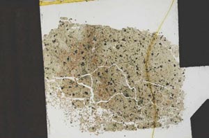 Plane Polarized, S3763