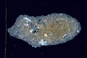 Cross Polarized, S3765