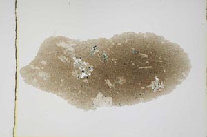 Plane Polarized, S3765