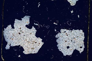 Cross Polarized, S3767