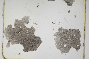 Plane Polarized, S3767