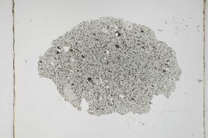 Plane Polarized, S3768