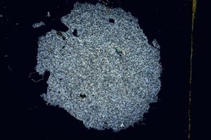 Cross Polarized, S3769