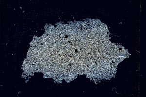 Cross Polarized, S3770