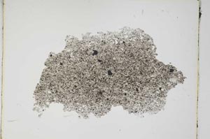 Plane Polarized, S3770