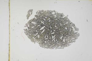 Plane Polarized, S3771