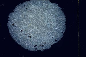 Cross Polarized, S3772