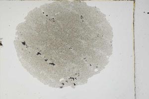 Plane Polarized, S3772