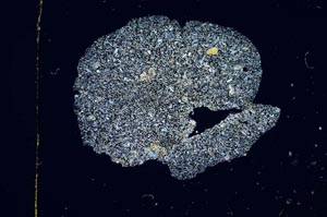 Cross Polarized, S3774