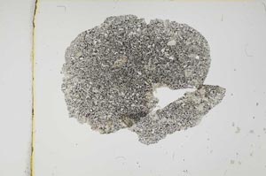 Plane Polarized, S3774