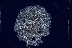 Cross Polarized, S3775