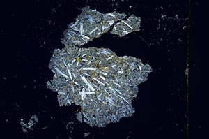 Cross Polarized, S3776