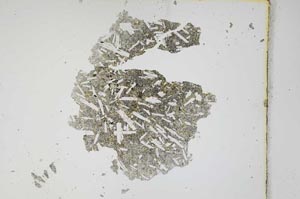 Plane Polarized, S3776