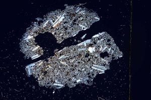 Cross Polarized, S3777