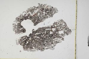 Plane Polarized, S3777