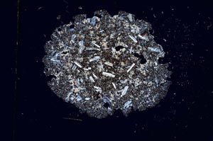 Cross Polarized, S3782