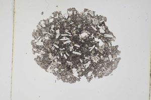 Plane Polarized, S3782