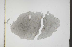 Plane Polarized, S3783