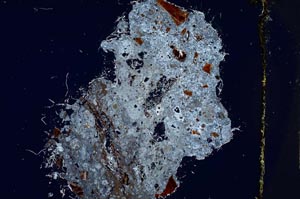 Cross Polarized, S3784