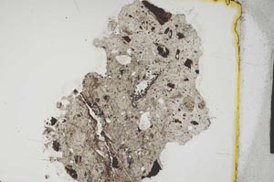 Plane Polarized, S3784