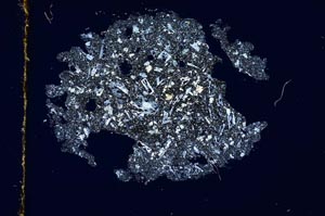 Cross Polarized, S3786