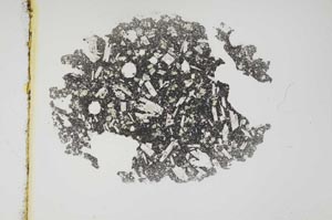 Plane Polarized, S3786