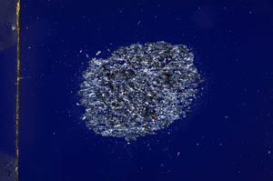 Cross Polarized, S3836