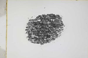 Plane Polarized, S3836