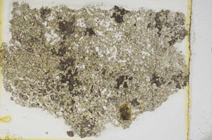 Plane Polarized, S3837