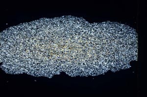 Cross Polarized, S3838