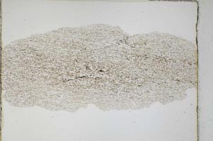 Plane Polarized, S3838