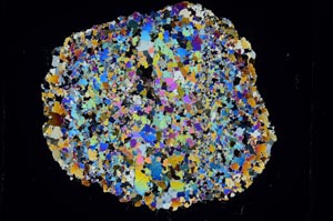 Cross Polarized, S3841