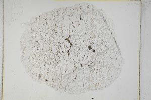 Plane Polarized, S3841