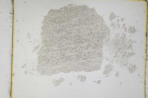 Plane Polarized, S3845