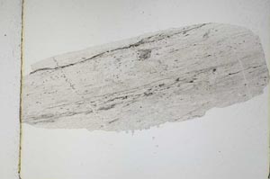 Plane Polarized, S3846