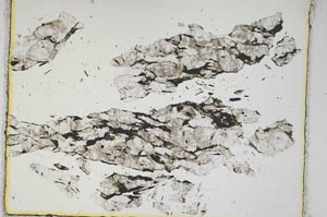 Plane Polarized, S3857