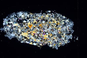 Cross Polarized, S3860