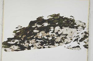 Plane Polarized, S3861