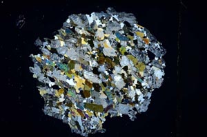 Cross Polarized, S3861/a