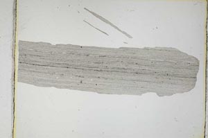 Plane Polarized, S3864